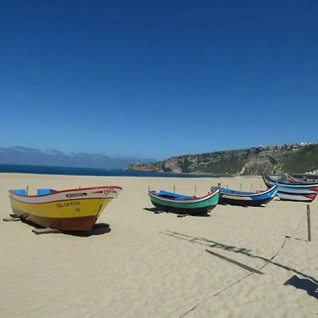 Holiday home Casal Riquezo T2-1.o- Serra Da Pescaria - *